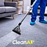 Nettoyage Tanger Votre Solution Professionnelle pour un Intérieur Impeccable et Écologique